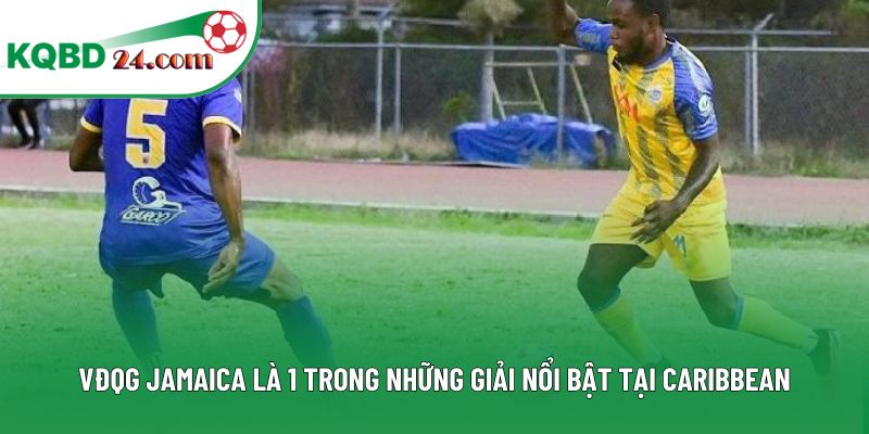 VĐQG Jamaica là 1 trong những giải nổi bật tại Caribbean